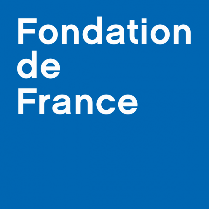 Fondation_de_France fondation de france