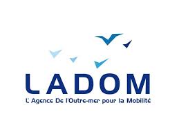 Logo officiel de LADOM, l'Agence de l'Outre-mer pour la Mobilité, illustré par des silhouettes d'oiseaux stylisés au-dessus du nom de l'organisme.